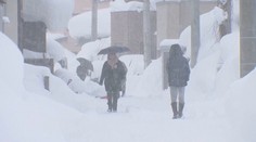 Extrémní počasí sužuje Evropu. Španělsko čelí záplavám, v Německu mrznou zvířata