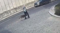 Agresivního psa muž neuhlídal, obvinili ho. Zvíře zmrzačilo malé dítě