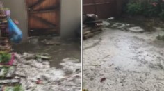 Na Vysočině hrozí velmi silné bouře, hasiči odklízí spadané stromy