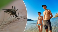 Nejen západonilská horečka. Češi si z cest vozí i malárii či dengue