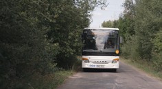 Dopravce trápí přerostlé větve stromů. Způsobují škody za desetitisíce