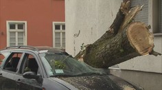 Oběť silných bouřek v Německu: Muže zasáhl ve sklepě elektrický proud