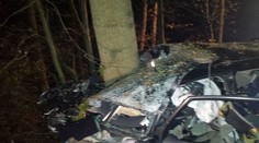 Na auto při nehodě na Vysočině spadl strom. Policisté ho hledali hodinu