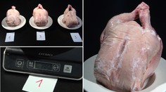 UNIKÁTNÍ TEST TN.cz: Kolik vody obsahuje mražené kuře?