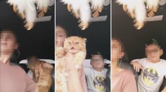 Žena si za jízdy hrála s kočkou, vezla nepřipoutaného syna. Vše vysílala