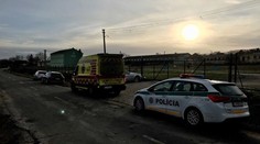 Tragédie při honu! Muž trefil honce do ramene, ten na místě zemřel