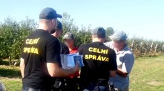 VIDEO: Razie celní správy v zemědělských podnicích