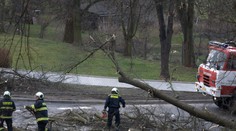 Silné bouře v noci lámaly stromy a strhly kusy střechy!