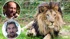 Je zázrak, že nikdo nezemřel už dřív! Zoo reagují na smrt chovatele