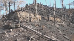 Hašení v Českém Švýcarsku skončilo. Evakuovaní se vrátí domů