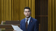 Politik zapomněl vypnout webkameru. Na schůzi sněmovny se objevil nahý