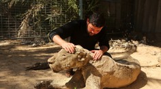 ZOO HRŮZY: Zvířata nechali zemřít hladem a žízní, jsou z nich mumie!
