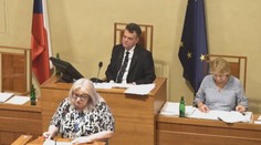 Senátorka Hamplová chce rasově segregovat děti. Pobouřila tím lidi