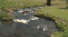 Zákaz koupání a pokuty nestačí, lidé berou jezera na Šumavě útokem