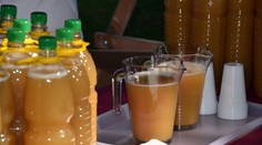 Jak poznat dobrý a pravý burčák? 9 rad, jak při koupi nenaletět!