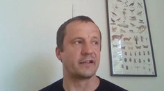 Asijská sršeň či americký rak. Invazní druhy se v teple snáze šíří, říká expert