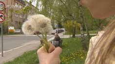 Alergie útočí: Lékaři hlásí až dvojnásobek pacientů!