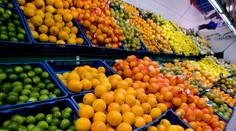 Pozor na OVOCE z Albertu! Limetky byly plné toxických PESTICIDŮ!