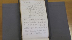 Překvapení pro knihovníky. Někdo po 22 letech vrátil zmizelé Darwinovy zápisníky