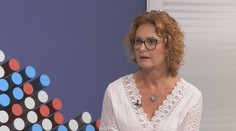Vyšší dřevostavby v Česku. Požáru ani škůdců se bát nemusíte, ujišťuje expertka