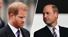 Tohle Harry nečekal. William navázal na Dianu, bratra tím ale ponížil