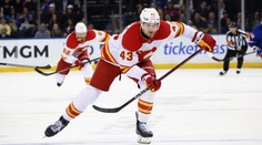 Další posila pro hokejový nároďák z NHL. Dorazí vysoký útočník z Calgary