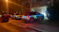 V Praze měl znásilnit a svázat ženu v autě. Policie muže obvinila z 5 trestných činů