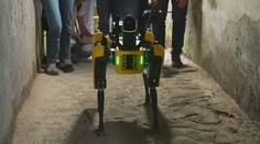 Tady hlídám já! Antické město Pompeje má strážit robotický pes