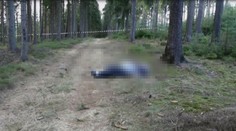 Přebral mu ženu, tak ho vylákal na procházku do lesa a ubodal