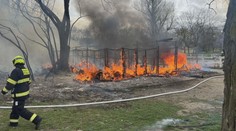 Při požáru stájí v Praze uhynulo několik koní. Hořelo tam i na konci března