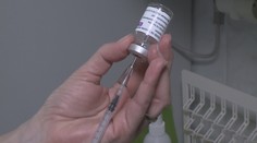 Další fáze očkování v Česku. Na řadu přijdou učitelé a lidé starší 70 let
