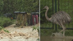 Déšť zvedá hladiny řek. Povodí Odry se připravuje na 20leté povodně