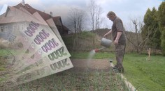 Chytejte dešťovku, dostanete peníze. Stát uvolní 200 milionů!