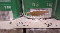 Myší trus i špína. Inspektoři uzavřeli sklad Kauflandu v Chrudimi