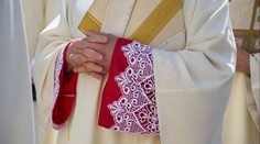 Vosa zabila oblíbeného kněze přímo u oltáře. Věřící zůstali v šoku