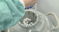 V Česku přibývá žen, které si nechávají zamrazit vajíčka
