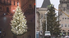 Likvidace stromu na Staromáku! Do parády si ho vezmou mladí truhláři