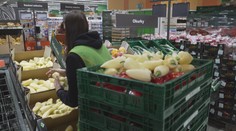 Zeleninu před otevřením obchodu kontrolují. Horší kusy prodávají se slevou