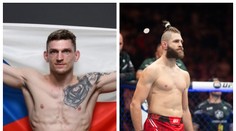 Dvořák souhlasí s rozhodčím: Hrozilo poškození mozku. Jirku prohra posune