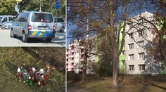 Matka vyskočila se synem z okna. Byla to vražda, řekla policie