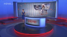 STŘEPINY: Otřesné praktiky psích množíren