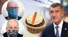 Prymula s Plagou se hádají o opatření, premiér Babiš si fotí dortíky