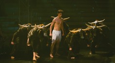 Unikátní představení v Praze. Hudba a choreografie vás přenese do džungle