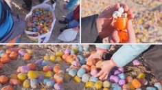 V Německu měli Velikonoce dřív! Moře vyvrhlo tisíce vajíček! FOTO