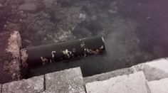 Nejen Makarská riviéra. Tento hnus viděli Češi v Kaštelích. VIDEO