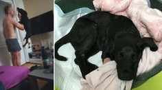 Posun v případu týraného štěněte! Policie řekla Jakubovi svůj verdikt