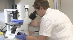 Vojtěch stanovil cenu testů na Covid-19. Podle Petříčka mají být levnější