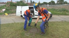 Vědci z odpadních vod v Praze odhalují výskyt covidu v populaci