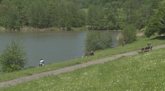Počasí vylákalo o svátečním dnu lidi ven. Brněnská zoo praskala ve švech