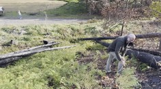 České Švýcarsko se po požáru začíná zelenat. Cestovní ruch se nevzpamatoval